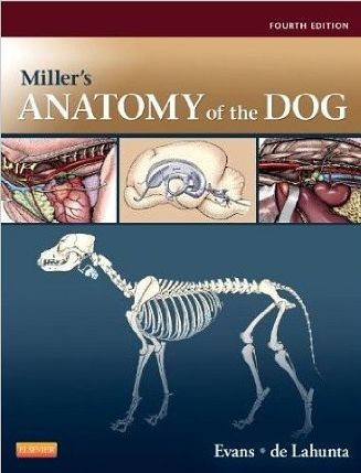 Miller's Anatomy of the Dog